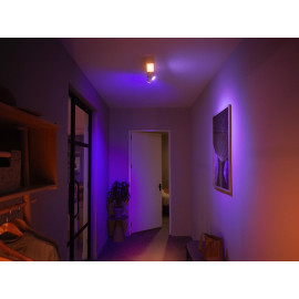 Centris Hue 2-spot white special form
