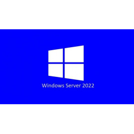 LIC OEM 2022 SERVER CAL 1 CLT USER