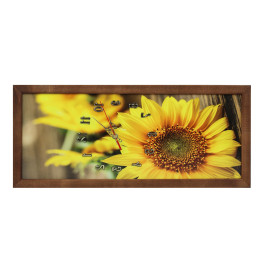 TABLOU CU CEAS INRAMAT 20X50 CM SUFLOWER